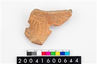 藏品(腹片)的圖片