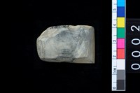 藏品(石錛)的圖片