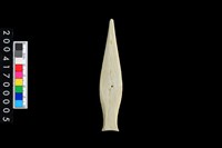 藏品(矛鏃)的圖片