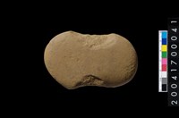 藏品(石網墜)的圖片