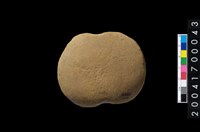 藏品(石網墜)的圖片