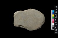 藏品(磨製石斧)的圖片