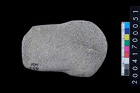 藏品(磨製石斧)的圖片