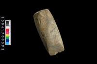 藏品(石錛)的圖片