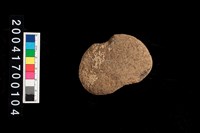 藏品(石網墜)的圖片