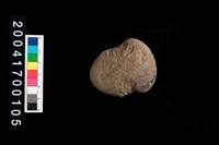 藏品(石網墜)的圖片