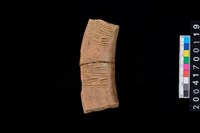 藏品(罐口-帶紋)的圖片