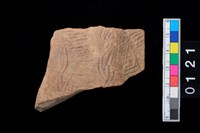 藏品(腹片-帶紋)的圖片