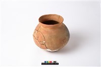 藏品(陶罐)的圖片