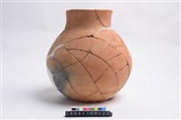 藏品(陶罐)的圖片