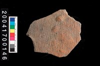 藏品(腹片-帶紋)的圖片