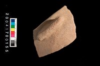 藏品(缽口)的圖片