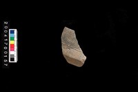 藏品(缽口-帶紋)的圖片