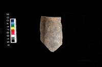 藏品(管狀器)的圖片