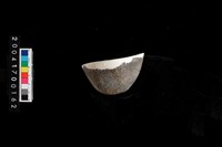 藏品(陶杯)的圖片