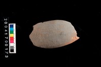 藏品(鳥頭形器)的圖片