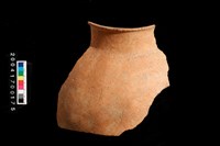 藏品(罐口)的圖片