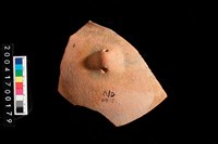 藏品(帶鈕頸折)的圖片