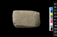 藏品(石錛)的圖片