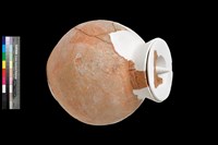 藏品(陶罐及陶蓋)的圖片