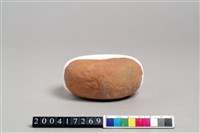 藏品(陶托)的圖片