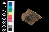 藏品(腹片-帶紋)的圖片