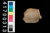 藏品(口緣-帶紋)的圖片