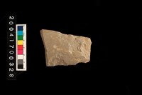 藏品(石斧)的圖片