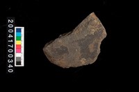 藏品(磨製石斧)的圖片