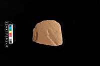 藏品(打製石斧)的圖片