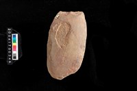 藏品(打製石斧)的圖片