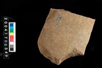 藏品(磨製石斧)的圖片