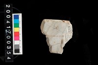 藏品(石錛)的圖片