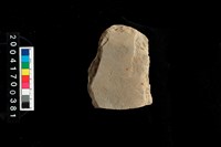 藏品(磨製石斧)的圖片