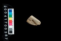 藏品(石網墜)的圖片