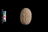 藏品(石錘)的圖片