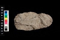 藏品(石鋤)的圖片