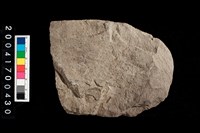 藏品(打製石斧)的圖片