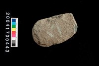 藏品(打製石斧)的圖片