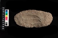 藏品(石鋤)的圖片