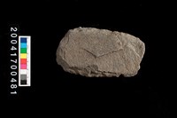 藏品(打製石斧)的圖片