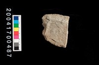 藏品(刮削器)的圖片