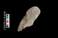 藏品(石鋤)的圖片