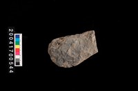 藏品(石鋤)的圖片