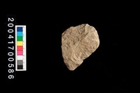 藏品(打製石斧)的圖片