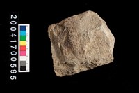 藏品(打製石斧)的圖片