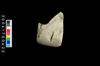 藏品(石錛)的圖片