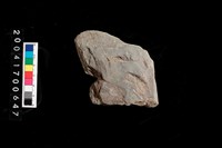 藏品(磨製石斧)的圖片