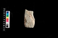 藏品(石錛)的圖片