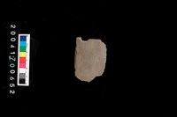 藏品(磨製石斧)的圖片